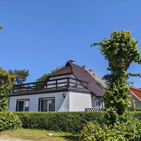 Ostseemuschel Wustrow (Fischland)