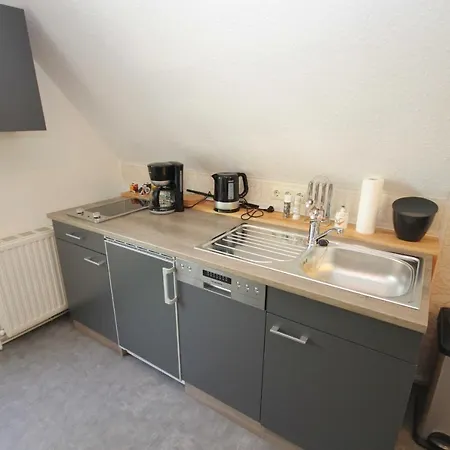 Ostseemuschel * Wustrow (Fischland)