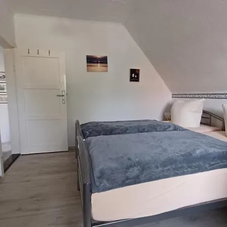 Ostseemuschel * Wustrow (Fischland)